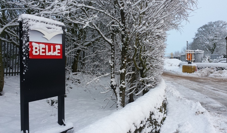 Snow Pictures January 2015